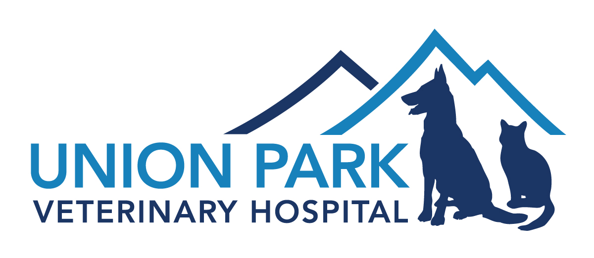 Best Vet Hospital in Cottonwood Heights, UT | Union Park Vet